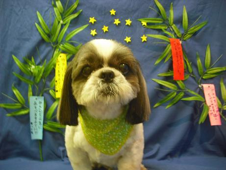 ファイル 4386-2.jpg