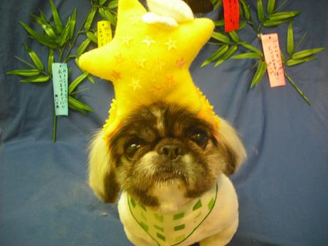 ファイル 4387-1.jpg