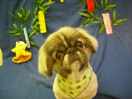 ファイル 4387-2.jpg