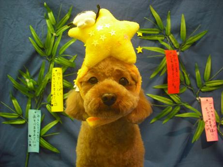 ファイル 4388-1.jpg