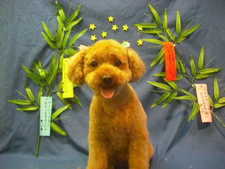 ファイル 4388-2.jpg