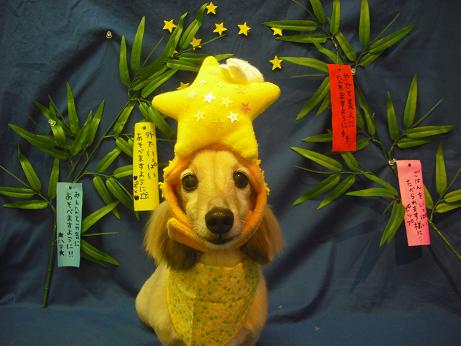 ファイル 4389-1.jpg