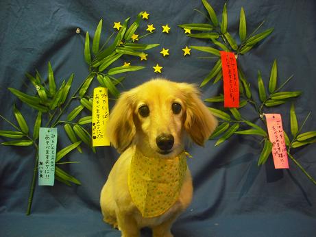 ファイル 4389-2.jpg