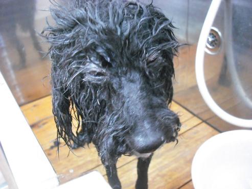 ファイル 439-2.jpg