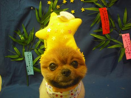 ファイル 4390-1.jpg