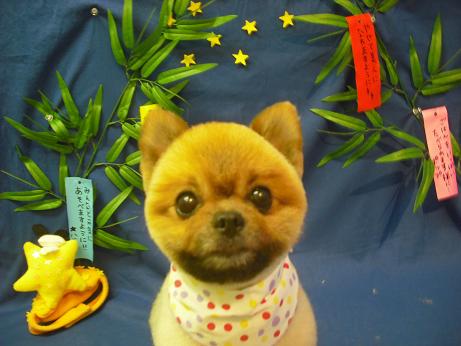 ファイル 4390-2.jpg