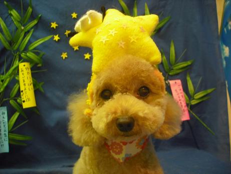 ファイル 4392-1.jpg