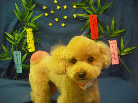 ファイル 4392-2.jpg