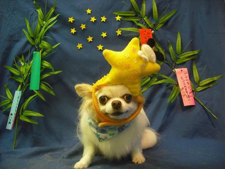 ファイル 4393-1.jpg