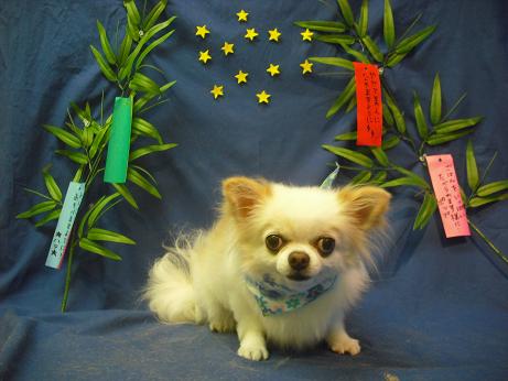 ファイル 4393-2.jpg