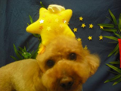 ファイル 4394-1.jpg