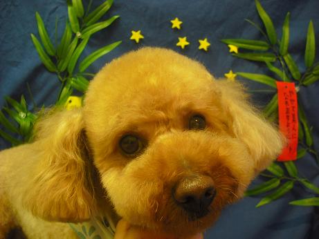 ファイル 4394-2.jpg