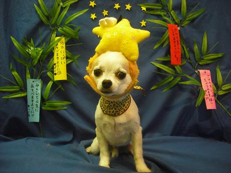 ファイル 4395-1.jpg