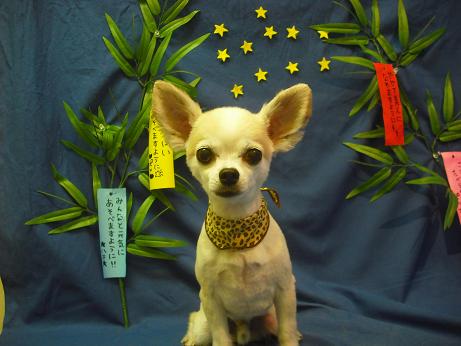 ファイル 4395-2.jpg