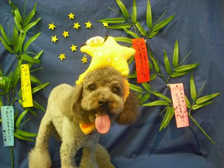 ファイル 4396-1.jpg