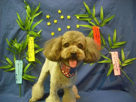 ファイル 4396-2.jpg