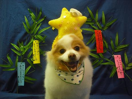 ファイル 4397-1.jpg