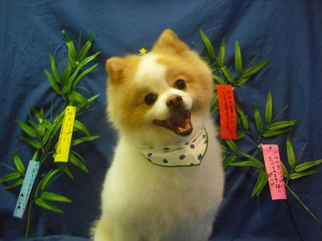 ファイル 4397-2.jpg