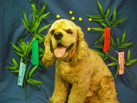 ファイル 4398-2.jpg