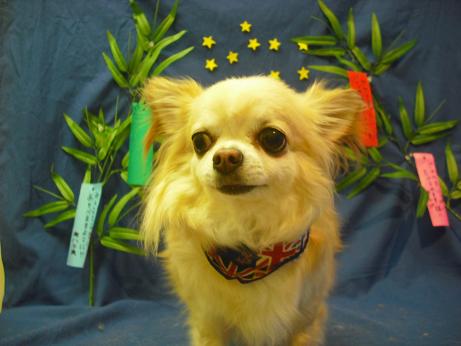 ファイル 4399-2.jpg