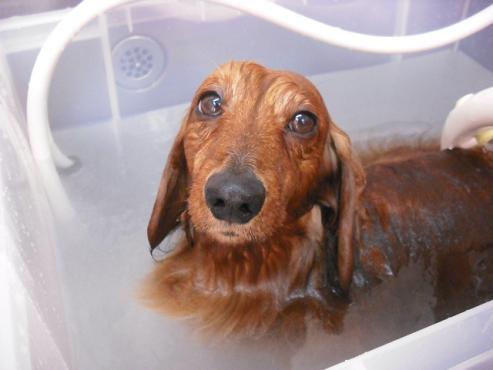 ファイル 44-2.jpg