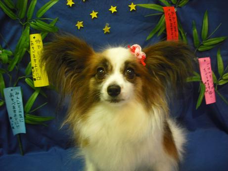 ファイル 4400-2.jpg