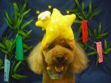 ファイル 4401-1.jpg