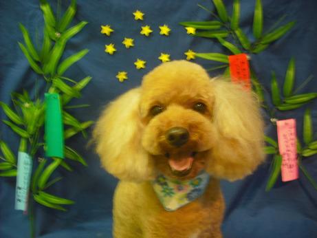 ファイル 4401-2.jpg