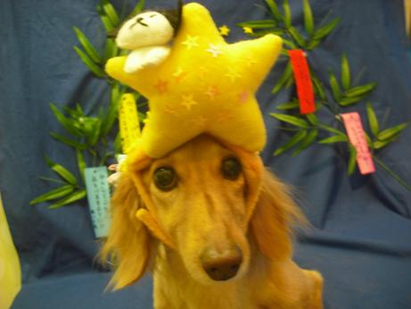 ファイル 4403-1.jpg