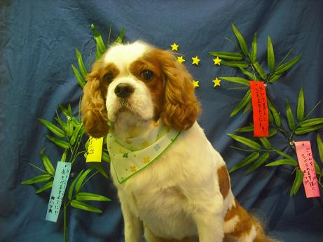 ファイル 4404-2.jpg