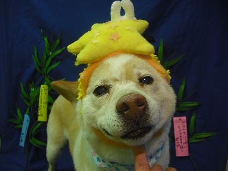 ファイル 4405-1.jpg