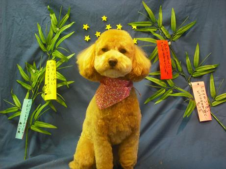 ファイル 4406-1.jpg