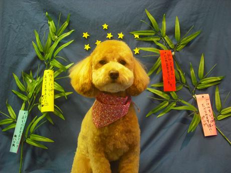 ファイル 4406-2.jpg