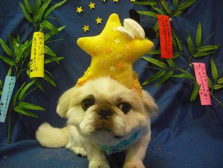 ファイル 4407-1.jpg