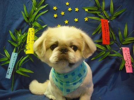 ファイル 4407-2.jpg