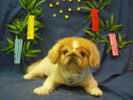 ファイル 4408-2.jpg