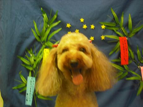 ファイル 4410-2.jpg