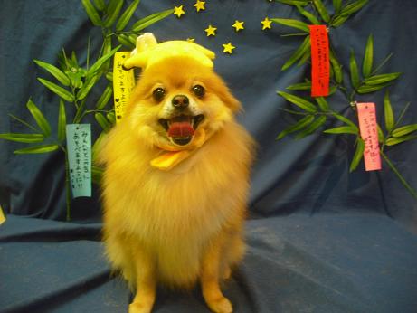 ファイル 4411-1.jpg