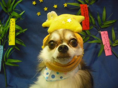 ファイル 4412-1.jpg