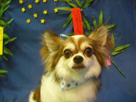 ファイル 4412-2.jpg