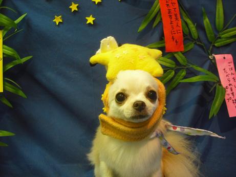 ファイル 4413-1.jpg