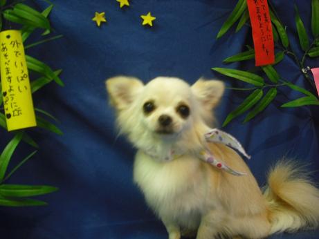 ファイル 4413-2.jpg