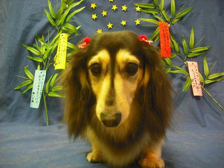 ファイル 4414-2.jpg