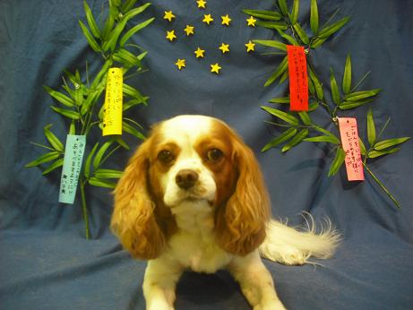 ファイル 4415-2.jpg