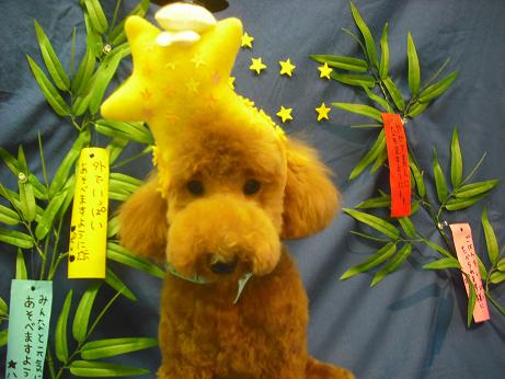 ファイル 4417-1.jpg