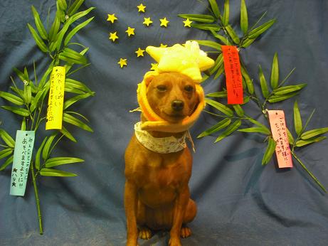 ファイル 4418-1.jpg