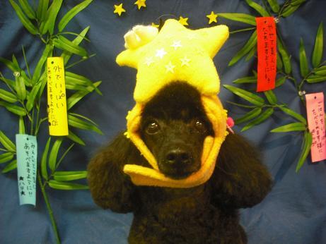 ファイル 4419-1.jpg