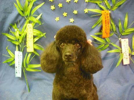 ファイル 4419-2.jpg