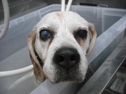 ファイル 442-2.jpg