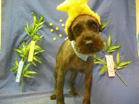 ファイル 4420-1.jpg